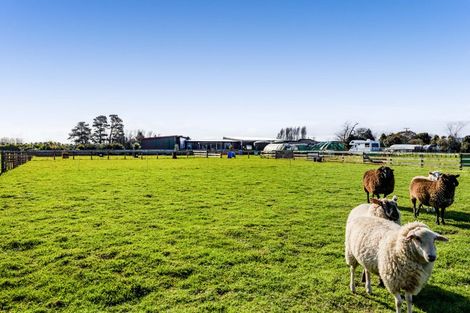 Photo of property in 280 Austin Road, Normanby, Hawera, 4673