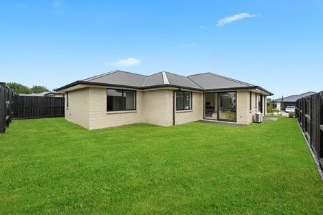 Photo of property in 18 Harp Street, Morrinsville, 3300