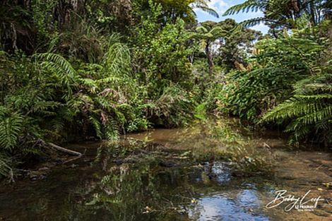 Photo of property in 1 Lori Lane, Coopers Beach, 0420