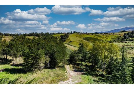 Photo of property in 163 Mill Road, Oxford, 7430