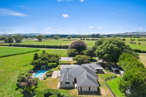 Photo of property in 303 Parallel Road, Ohaupo, Cambridge, 3495