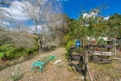 Photo of property in 94b Wilton Collieries Road, Glen Massey, Ngaruawahia, 3794