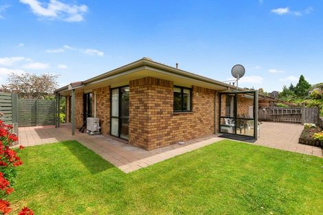 Photo of property in 17 Kendall Place, Flagstaff, Hamilton, 3210