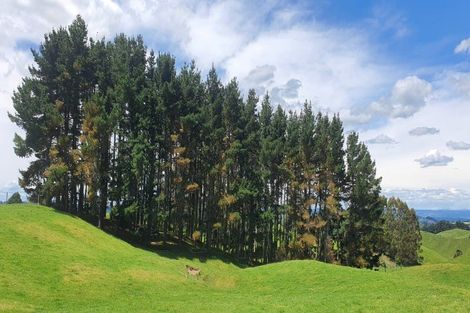 Photo of property in 76 Tuhingamata Road, Oruanui, Taupo, 3384