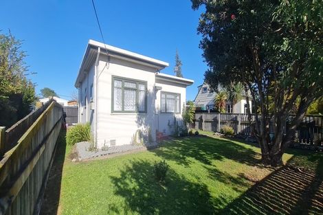 Photo of property in 36 Wilton Street, Levin, 5510