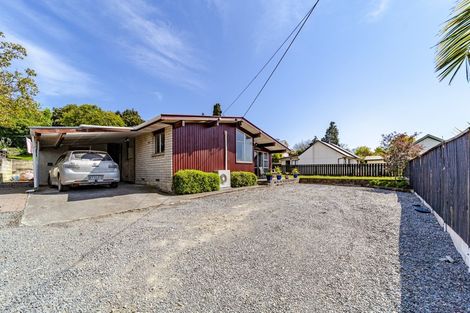 Photo of property in 114 Porangahau Road, Waipukurau, 4200