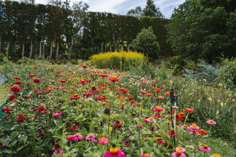 Photo of property in 259 Wainui Road South, Whakamarama, Katikati, 3181