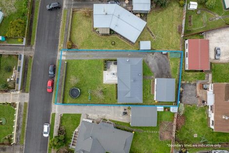 Photo of property in 5 Gummer Place, Morrinsville, 3300