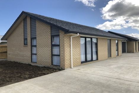 Photo of property in 21a River Road, Masterton, 5810