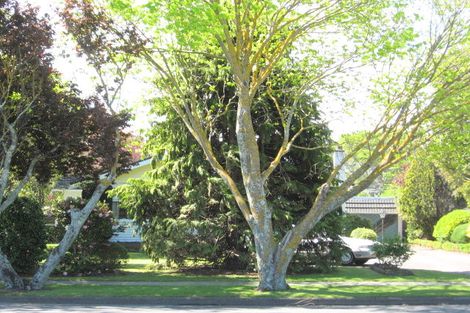 Photo of property in 184 Rutene Road, Kaiti, Gisborne, 4010