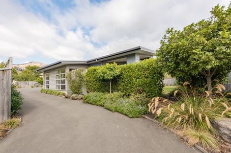 Photo of property in 47 Taranaki Place, Richmond, 7020