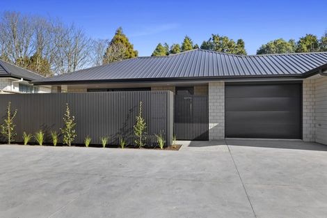 Photo of property in 21b Sycamore Grove, Lower Vogeltown, New Plymouth, 4310