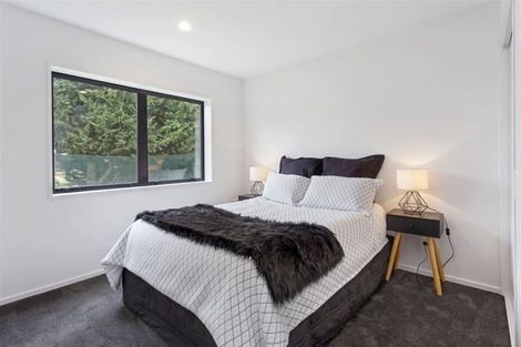 Photo of property in 163 Lowes Road, Rolleston, 7614