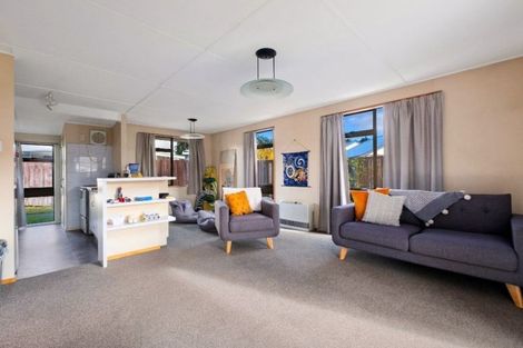 Photo of property in 20 Syndic Street, Cromwell, 9310