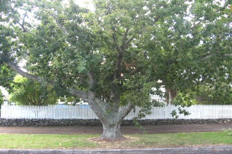 Photo of property in 3 Athlone Road, Glendowie, Auckland, 1071