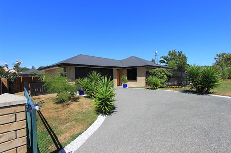 Photo of property in 14 Mcisaac Place, Renwick, 7204