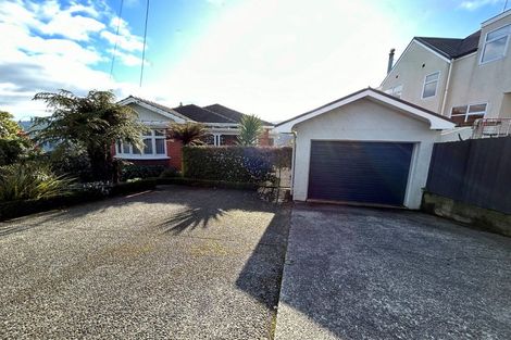 Photo of property in 113 Signal Hill Road, Opoho, Dunedin, 9010