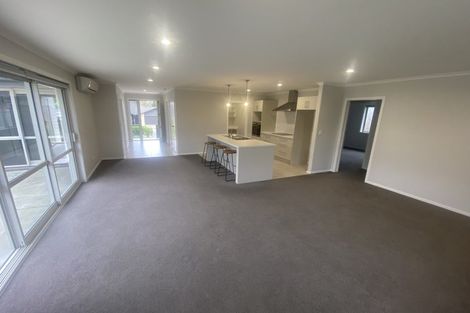 Photo of property in 250 Dixon Road, Fitzroy, Hamilton, 3206