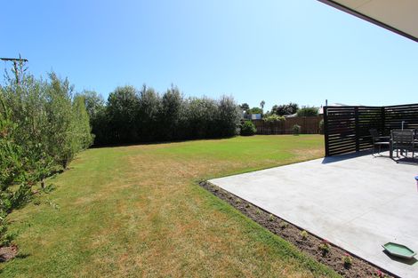 Photo of property in 14 Mcisaac Place, Renwick, 7204