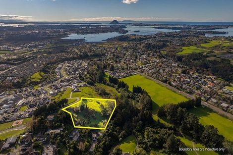Photo of property in 99 Carmen Way, Ohauiti, 3112