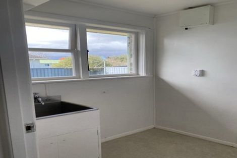Photo of property in 16 Winchester Street, Levin, 5510