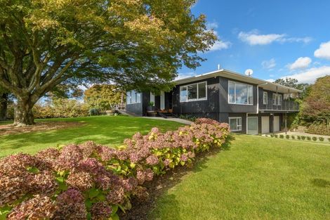 Photo of property in 86 Prole Road, Omokoroa, Tauranga, 3172
