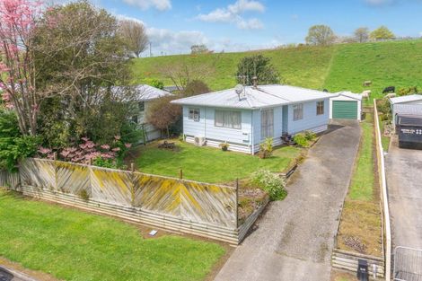 Photo of property in 169 Sinclair Terrace, Te Awamutu, 3800