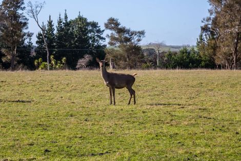 Photo of property in 707 Norfolk Road, Upper Plain, Carterton, 5791