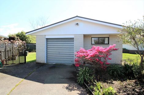 Photo of property in 81 Fergusson Street, Woodville, 4920