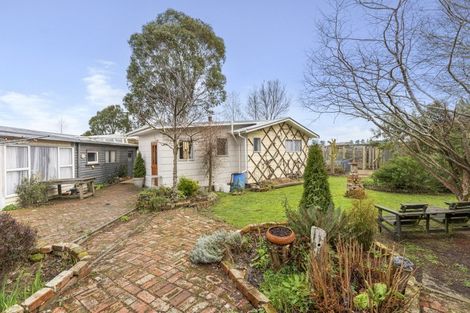 Photo of property in 20 Montgomery Street, Cheviot, 7310