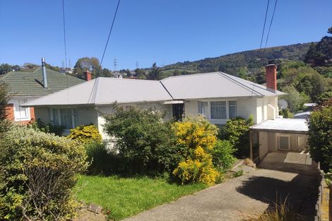 Photo of property in 211 Helensburgh Road, Wakari, Dunedin, 9010