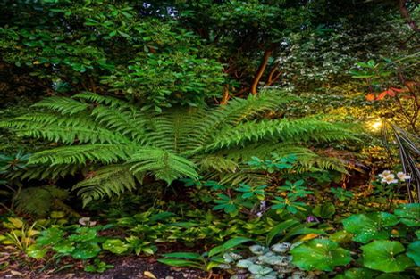 Photo of property in 7 Douglas Street, Lincoln, 7608