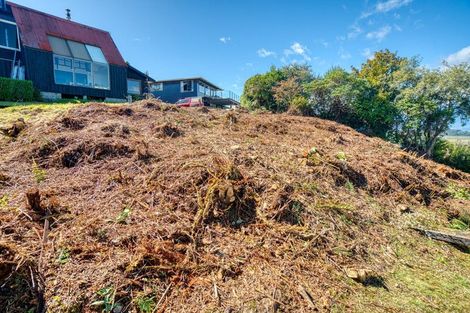 Photo of property in 8 Ivy Terrace, Moana, 7872