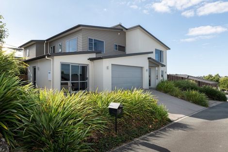 Photo of property in 57 Chater Avenue, Bethlehem, Tauranga, 3110