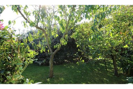 Photo of property in 21 Shirtliff Street, Riversdale, Blenheim, 7201