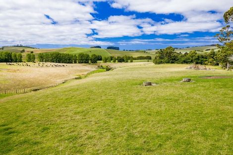 Photo of property in 115 Ocean View Road, Te Arai, Wellsford, 0974