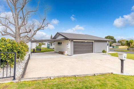 Photo of property in 18 Harlock Place, Huntly, 3700