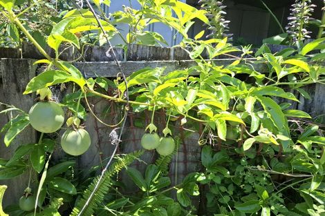 Photo of property in 1/64 Carlisle Road, Browns Bay, Auckland, 0630