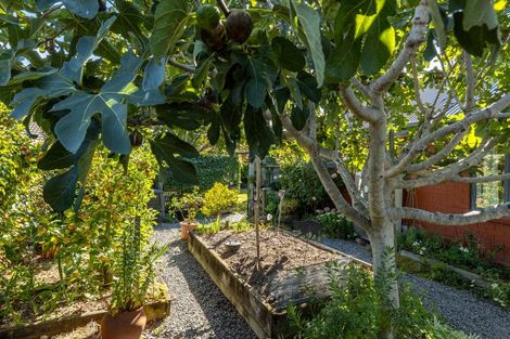 Photo of property in 44 Tremorne Avenue, Blenheim, 7201