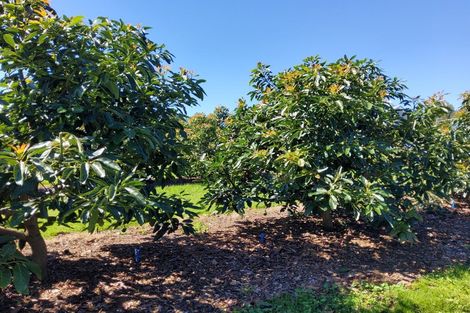 Photo of property in 14 Merrick Road, Pyes Pa, Tauranga, 3173