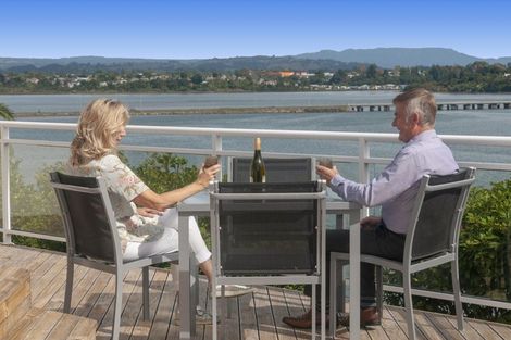 Photo of property in 49 Vine Avenue, Maungatapu, Tauranga, 3112