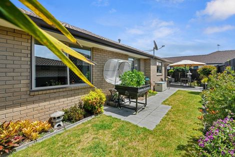 Photo of property in 74 Twin Oak Avenue, Papamoa Beach, Papamoa, 3118