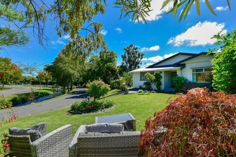Photo of property in 43 Waimea Terrace, Beckenham, Christchurch, 8023
