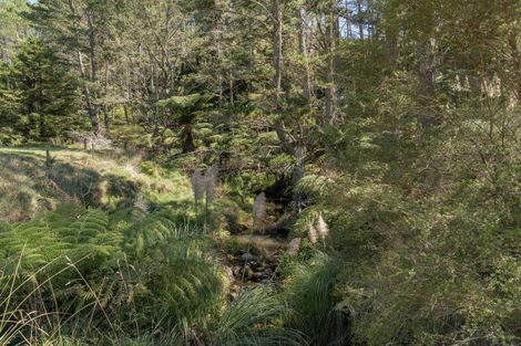 Photo of property in 403 Purangi Road, Purangi, Whitianga, 3591