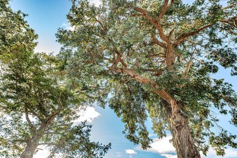 Photo of property in 36 Stewart Street, Aramoho, Whanganui, 4500