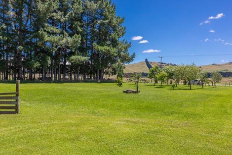 Photo of property in 537 Lake Road, Flemington, Waipukurau, 4282