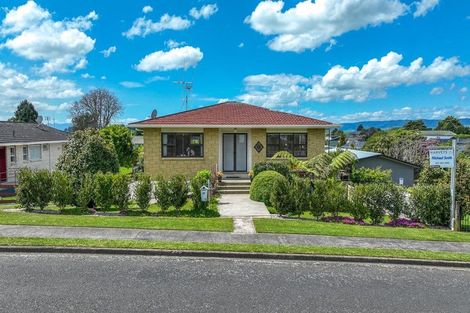 Photo of property in 15 Hillcrest Street, Tirau, 3410