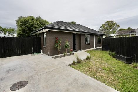 Photo of property in 21b Shamrock Street, Takaro, Palmerston North, 4412