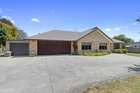 Photo of property in 4a Hanna Street, Te Aroha, 3320