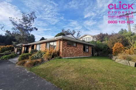 Photo of property in 62 Barr Street, Kenmure, Dunedin, 9011